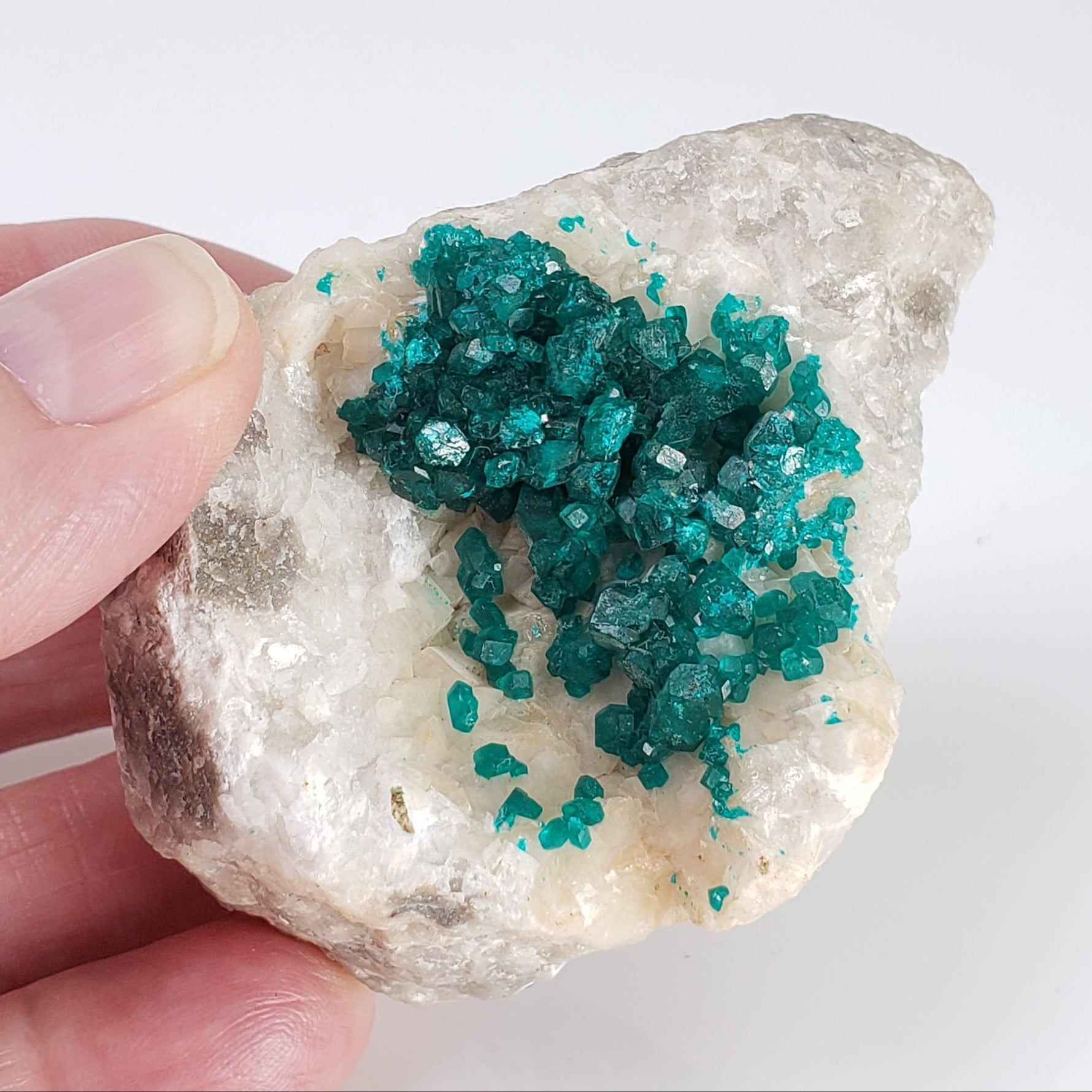  Dioptase on Calcite | Emerald Green Crystals | 116.72 Gr | Tsumeb Mine, Otavi, Namibia 2