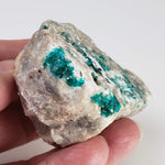  Dioptase on Calcite | Emerald Green Crystals | 116.72 Gr | Tsumeb Mine, Otavi, Namibia 6
