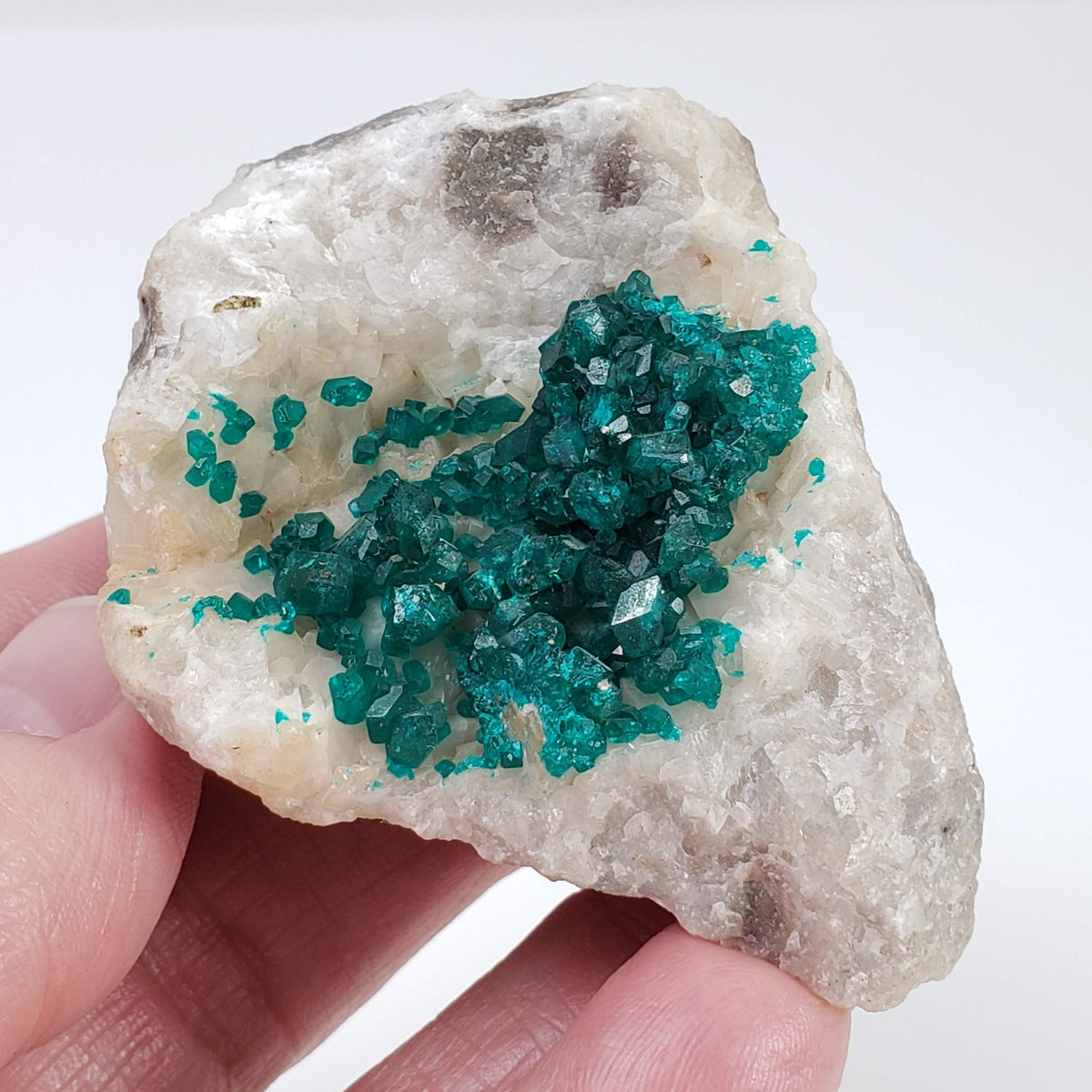  Dioptase on Calcite | Emerald Green Crystals | 116.72 Gr | Tsumeb Mine, Otavi, Namibia 3
