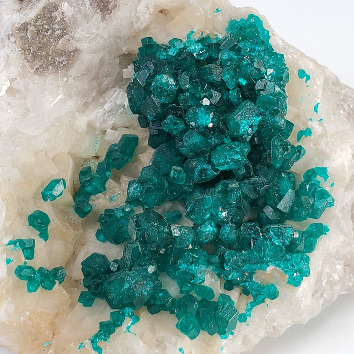  Dioptase on Calcite | Emerald Green Crystals | 116.72 Gr | Tsumeb Mine, Otavi, Namibia 4