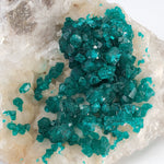  Dioptase on Calcite | Emerald Green Crystals | 116.72 Gr | Tsumeb Mine, Otavi, Namibia 4