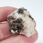  Dolomite on Sphalerite Crystals | 25 grams | Daniel's Harbor | Newfoundland and Labrador, Canada 2