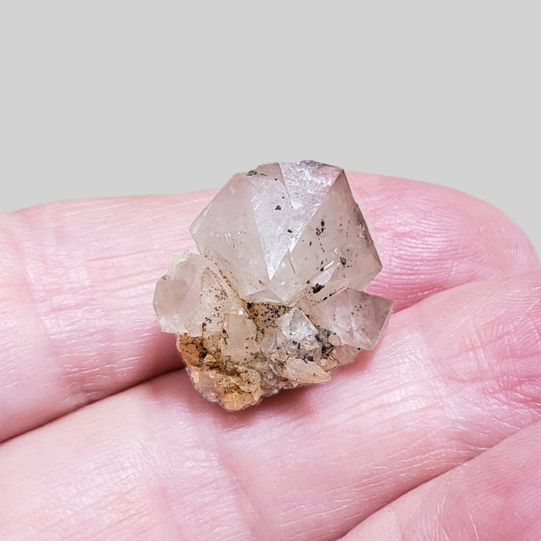  Double Terminated Quartz Crystal | 5.3 Grams | Severn Bridge, Ontario Canada 6