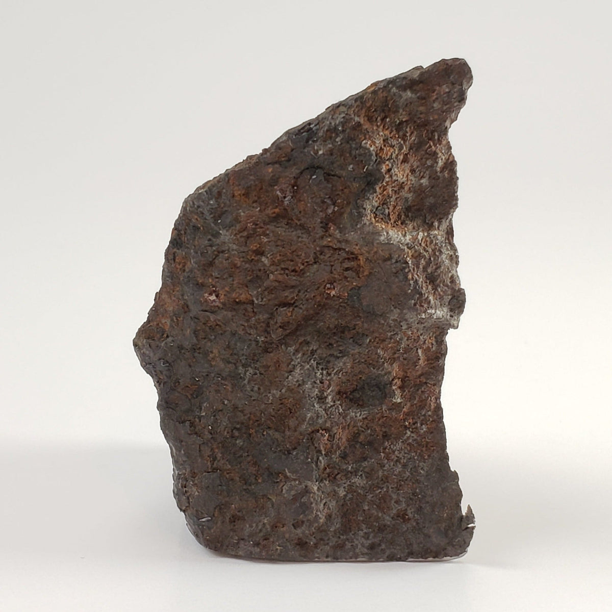  Dronino Meteorite | 97 Grams | End Cut | Iron Ataxite Ungrouped | Ryazanskaya oblast', Russia 1