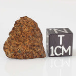  El Hammami Meteorite | 3.28 gr | Part End Cut | Morocco 