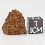  El Hammami Meteorite | 3.28 gr | Part End Cut | Morocco 