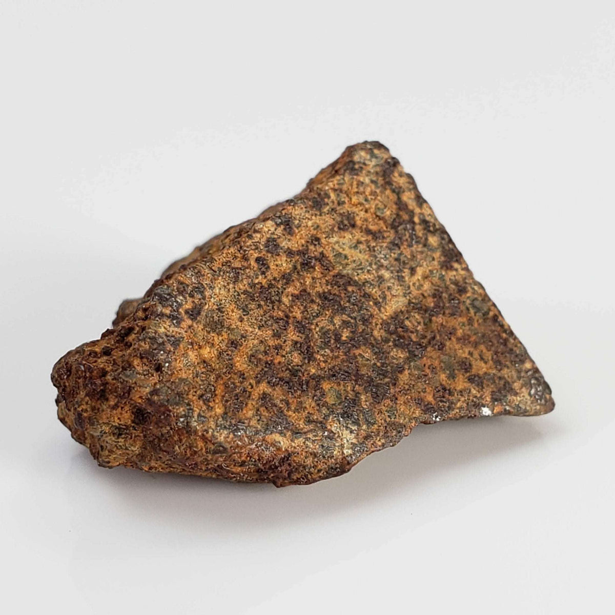  El Hammami Meteorite | 3.28 gr | Part End Cut | Morocco 1