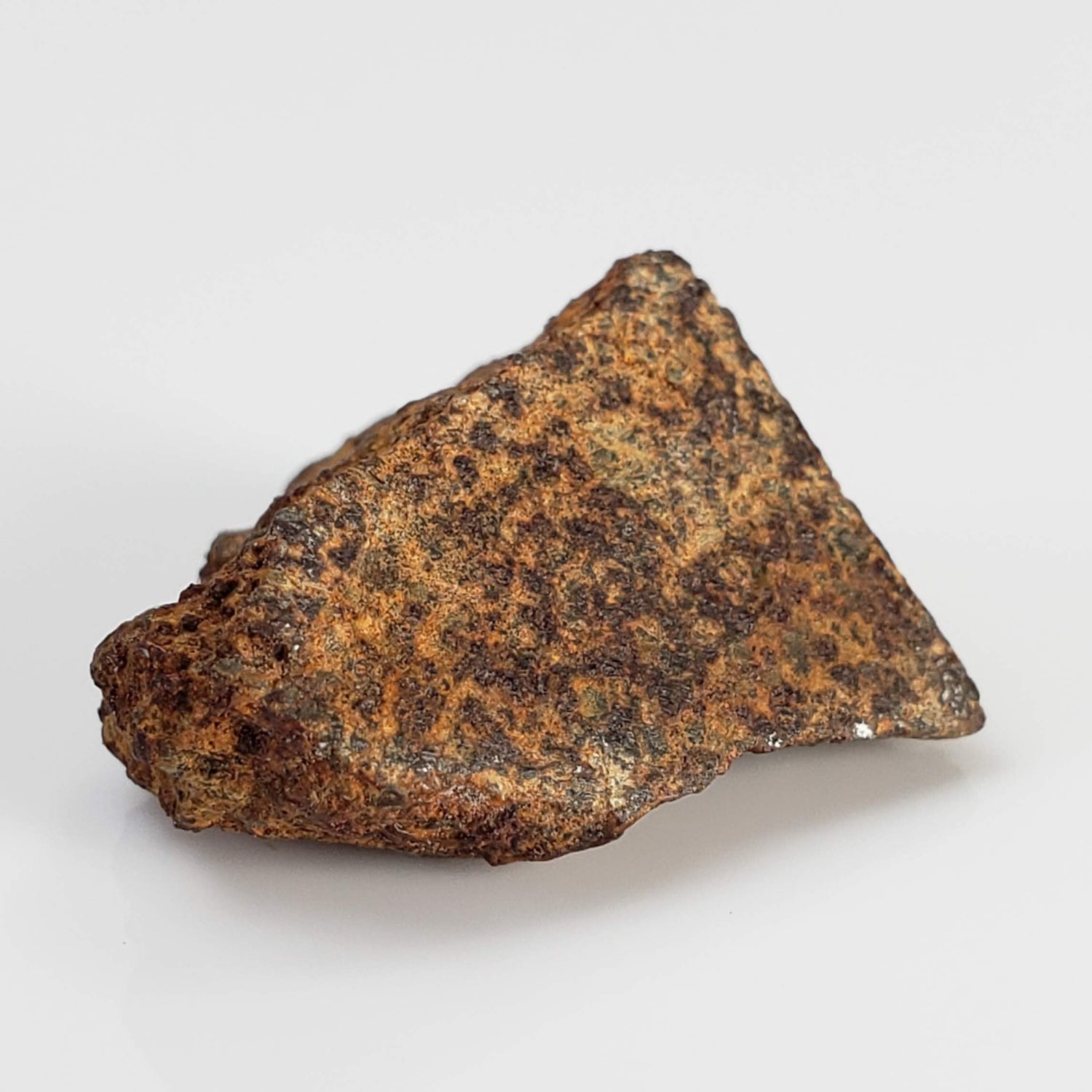  El Hammami Meteorite | 3.28 gr | Part End Cut | Morocco 1