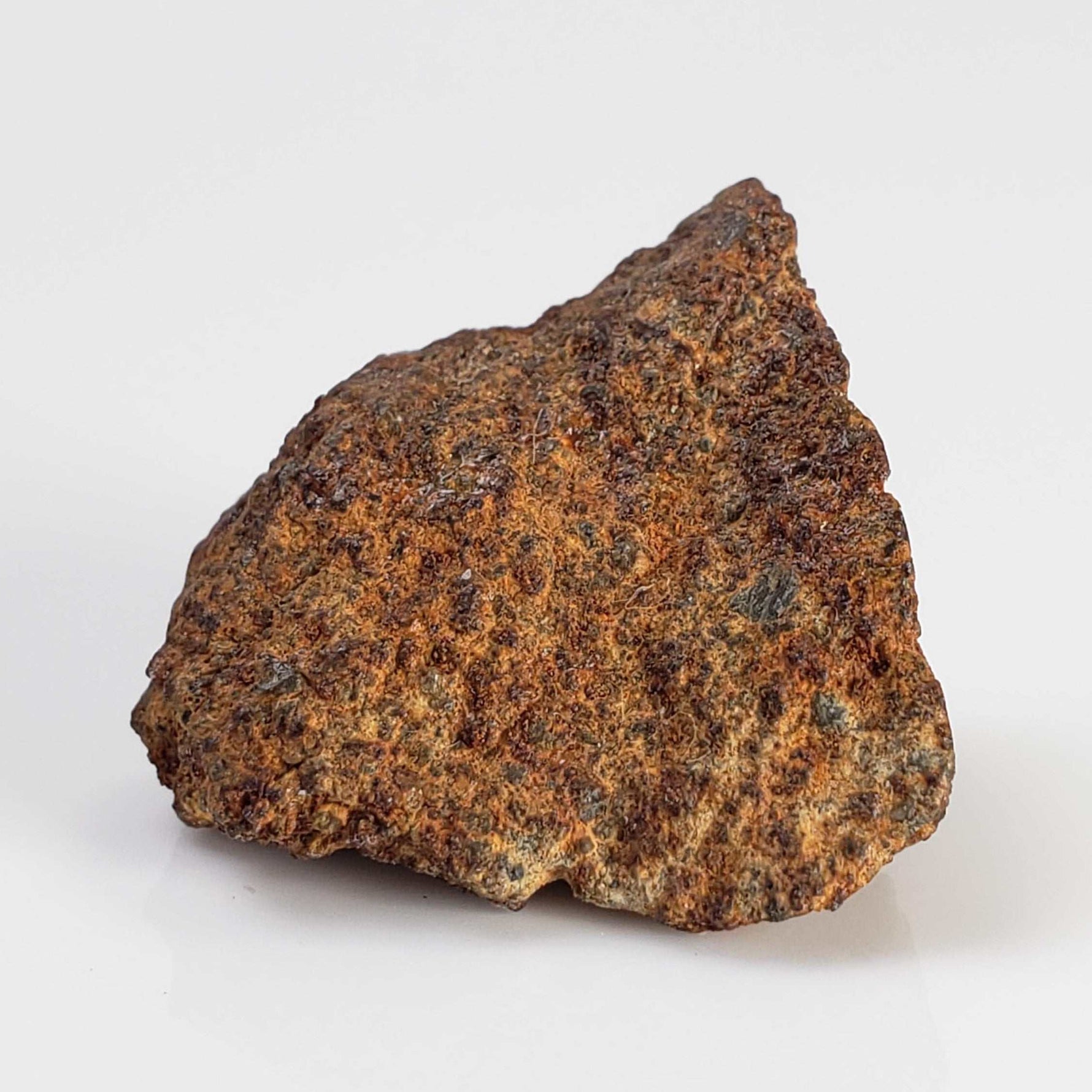  El Hammami Meteorite | 3.28 gr | Part End Cut | Morocco 4