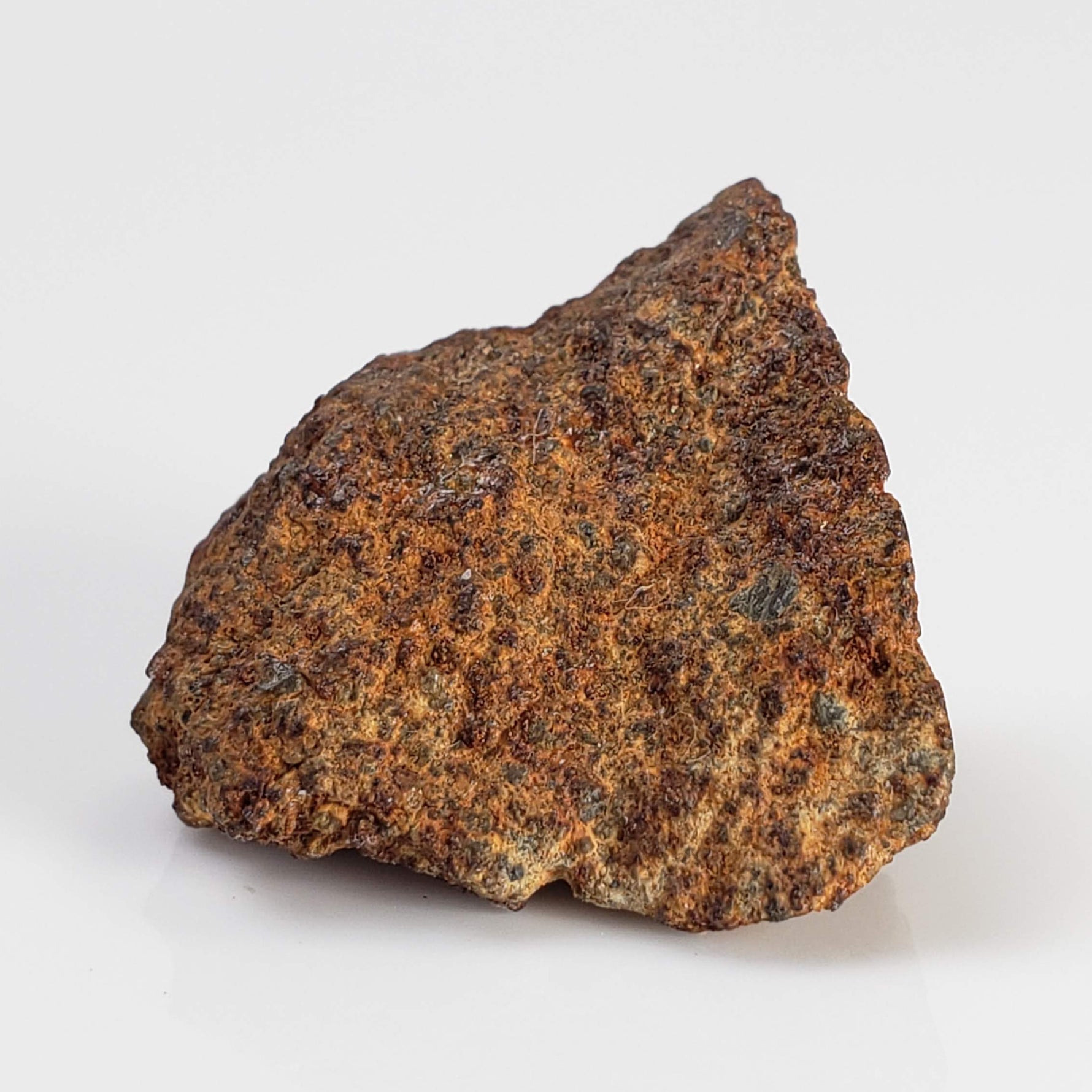  El Hammami Meteorite | 3.28 gr | Part End Cut | Morocco 4