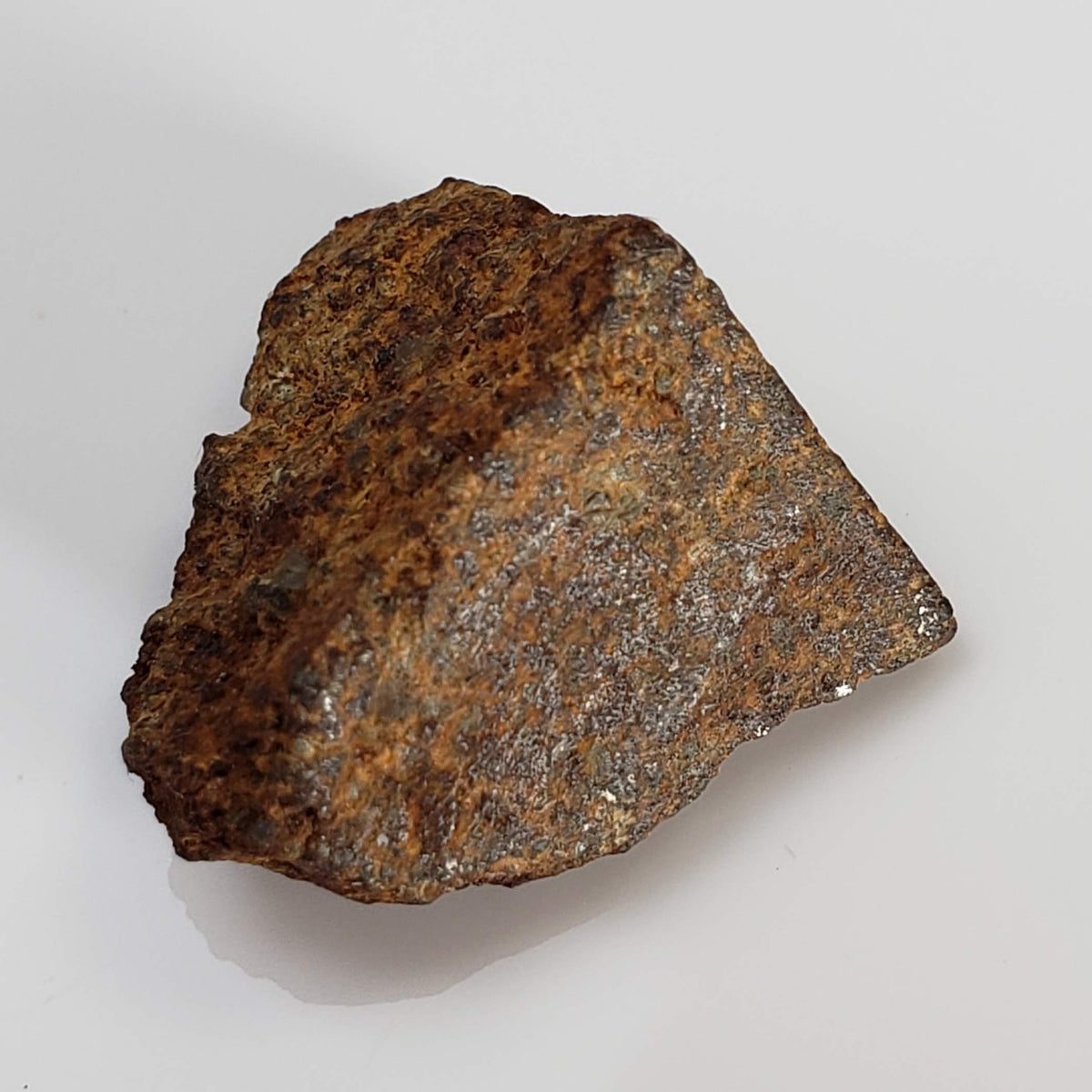  El Hammami Meteorite | 3.28 gr | Part End Cut | Morocco 5