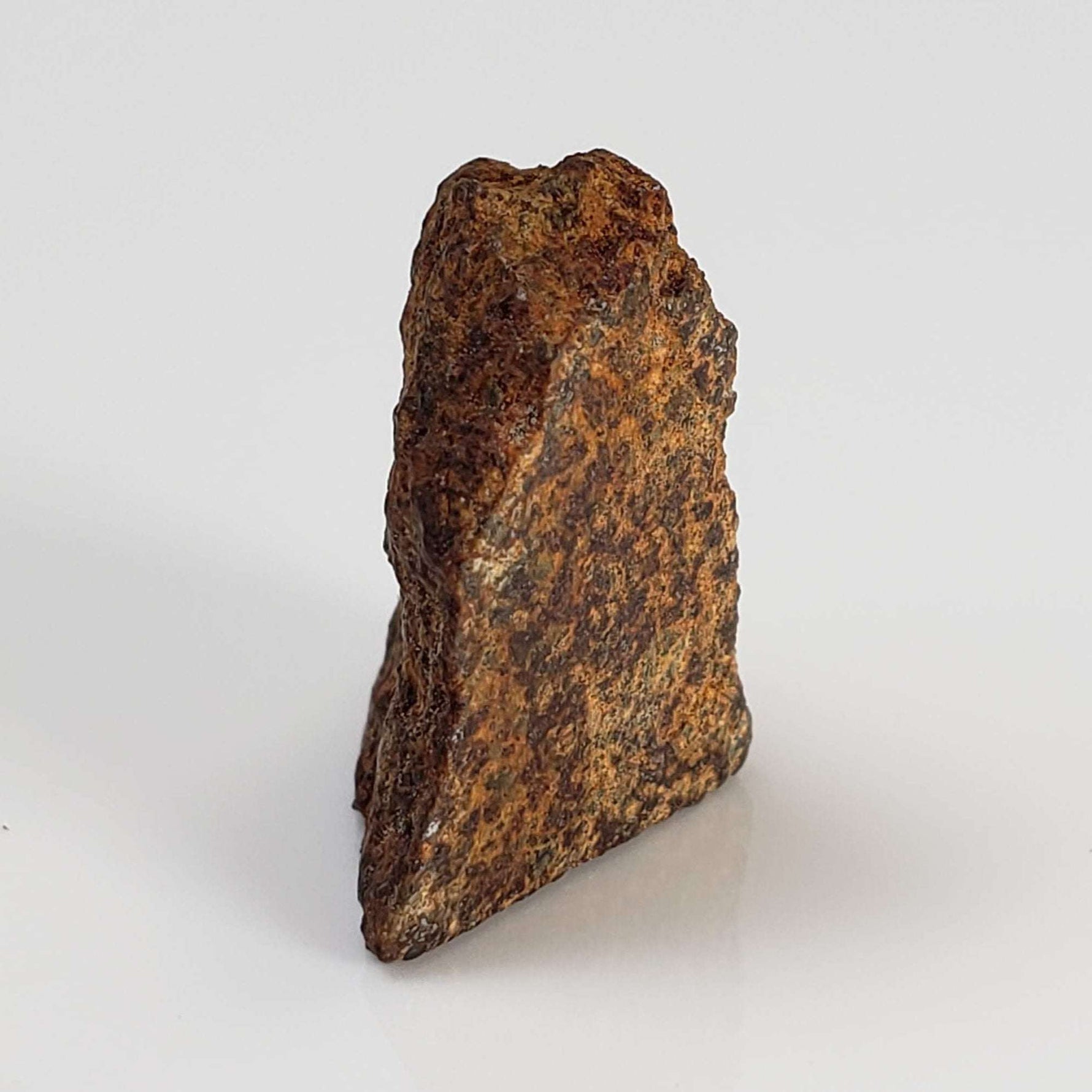  El Hammami Meteorite | 3.28 gr | Part End Cut | Morocco 7