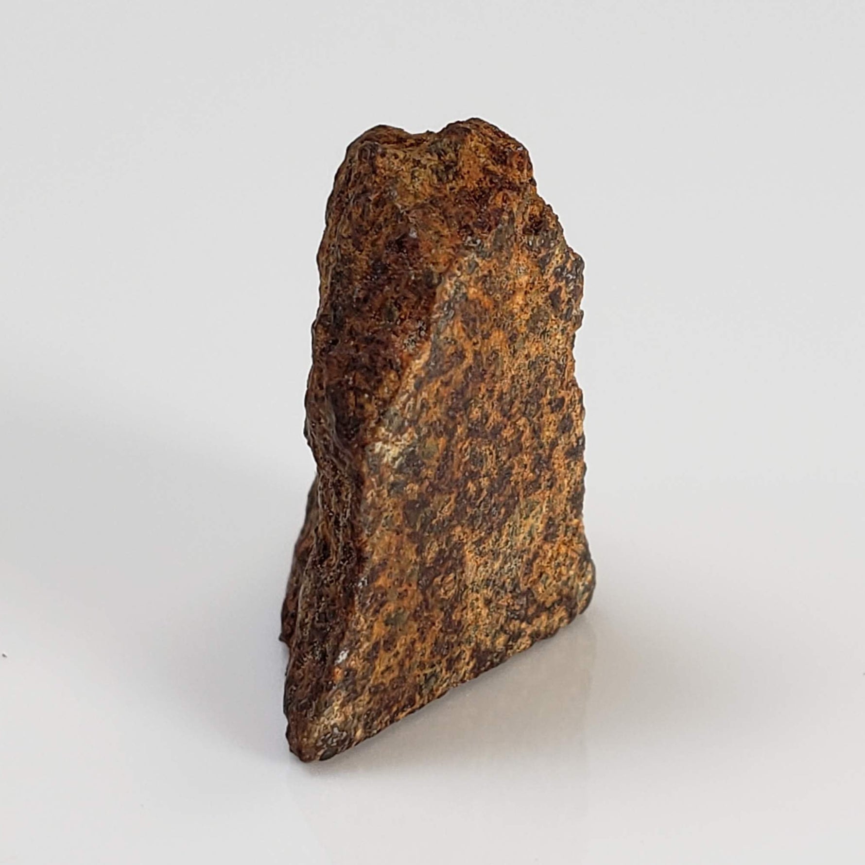  El Hammami Meteorite | 3.28 gr | Part End Cut | Morocco 7