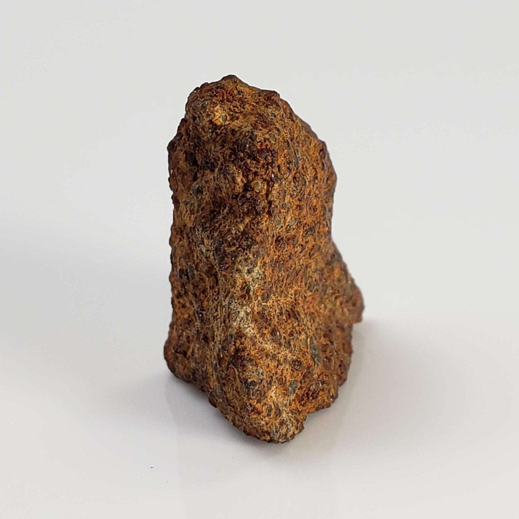  El Hammami Meteorite | 3.28 gr | Part End Cut | Morocco 8