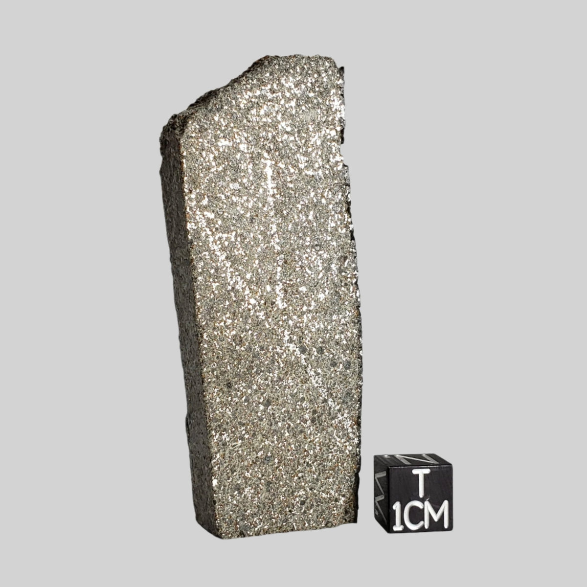  El Hammami Meteorite | 46.1gr | Fresh H5 1997 Slice | Tiris Zemmour, Mauritania 