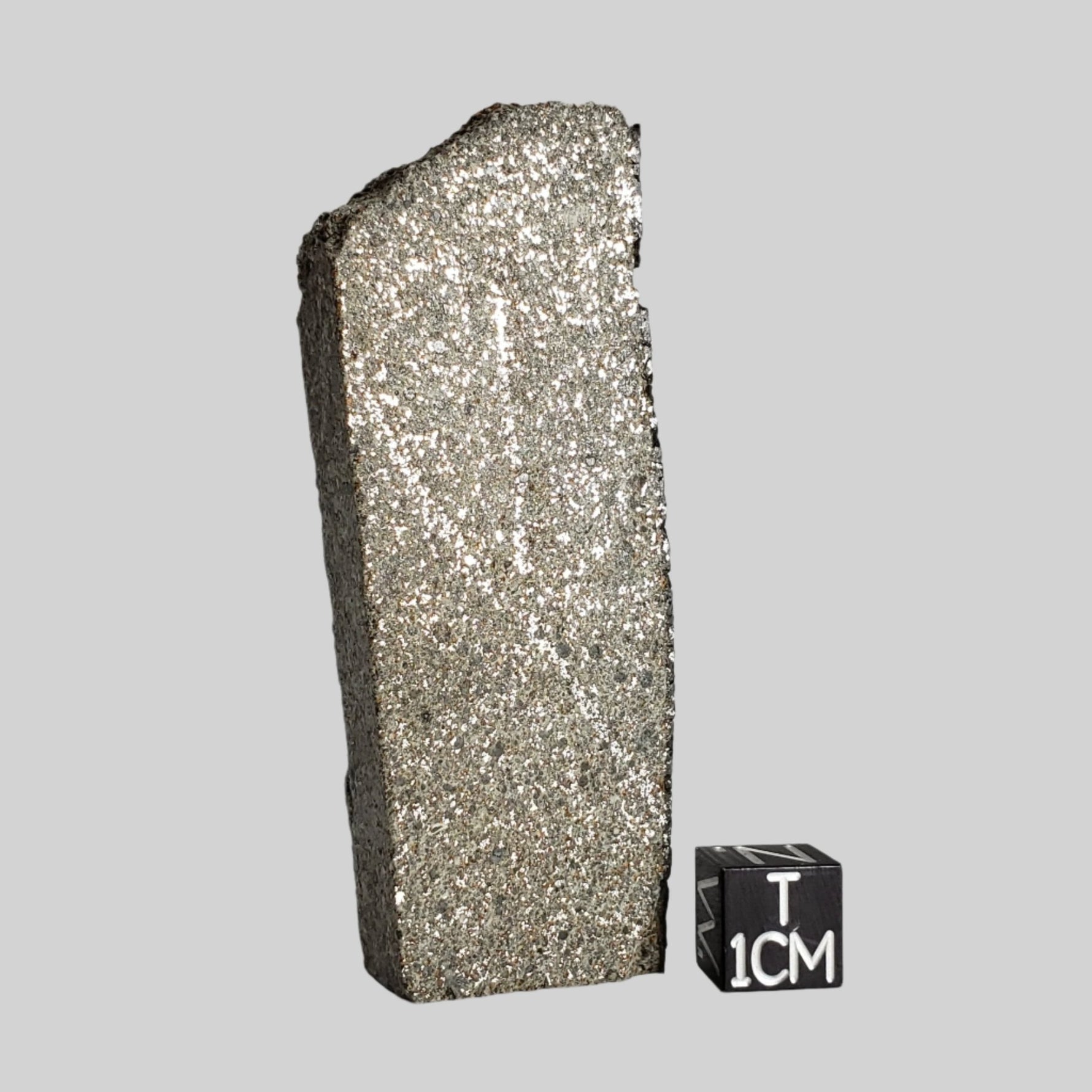  El Hammami Meteorite | 46.1gr | Fresh H5 1997 Slice | Tiris Zemmour, Mauritania 