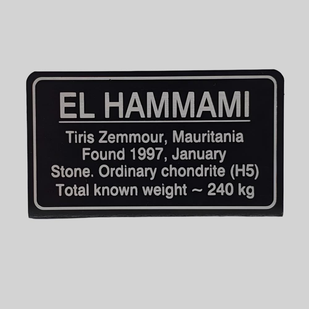  El Hammami Meteorite | Bent Metal Label | Free Standing 