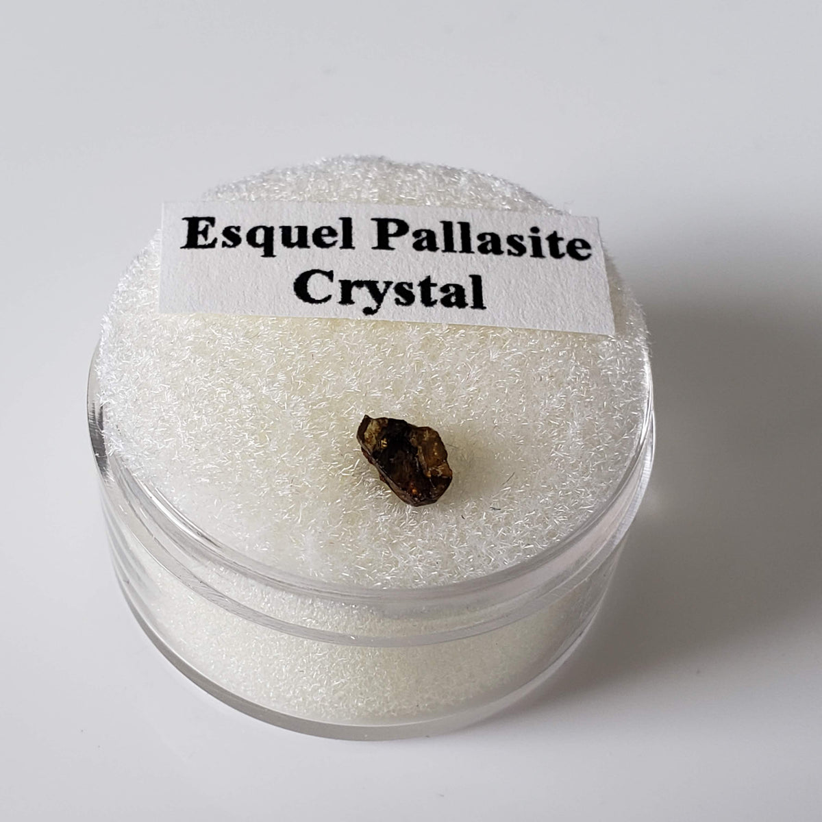 Esquel Pallasite Meteorite Crystal | Micro | Pallasite Stony Iron | Rare | Argentina 5