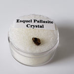 Esquel Pallasite Meteorite Crystal | Micro | Pallasite Stony Iron | Rare | Argentina 5