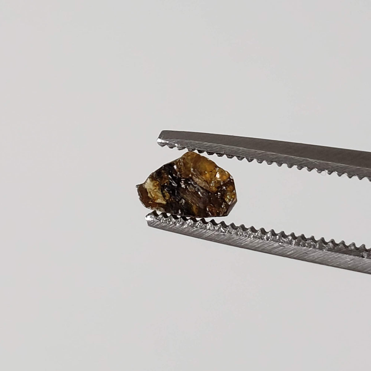 Esquel Pallasite Meteorite Crystal | Micro | Pallasite Stony Iron | Rare | Argentina 1