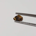 Esquel Pallasite Meteorite Crystal | Micro | Pallasite Stony Iron | Rare | Argentina 1