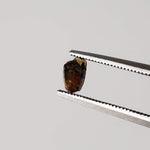 Esquel Pallasite Meteorite Crystal | Micro | Pallasite Stony Iron | Rare | Argentina 4