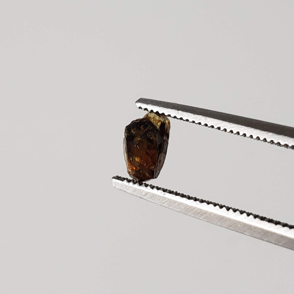 Esquel Pallasite Meteorite Crystal | Micro | Pallasite Stony Iron | Rare | Argentina 4