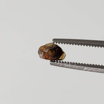 Esquel Pallasite Meteorite Crystal | Micro | Pallasite Stony Iron | Rare | Argentina 2