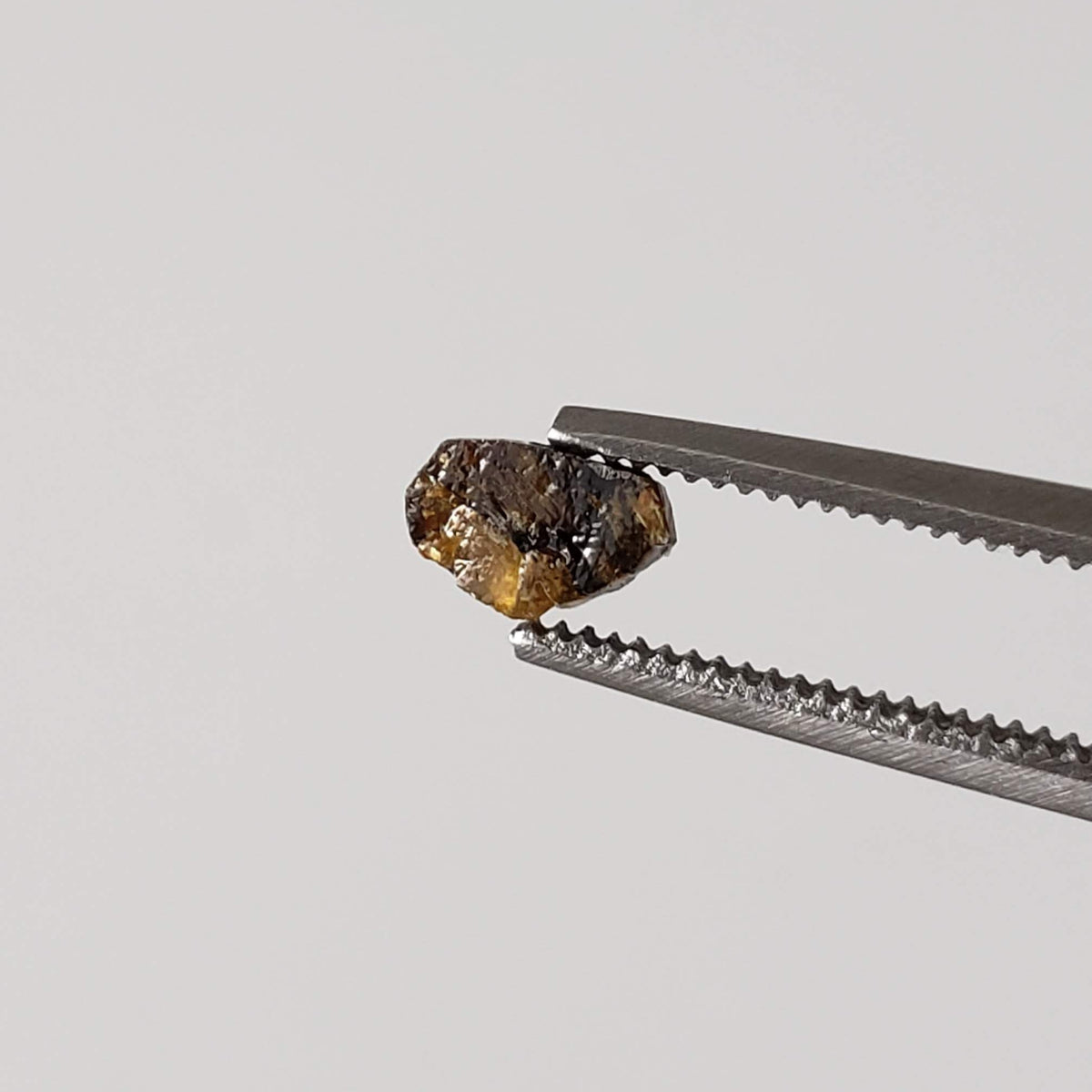 Esquel Pallasite Meteorite Crystal | Micro | Pallasite Stony Iron | Rare | Argentina 3