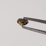Esquel Pallasite Meteorite Crystal | Micro | Pallasite Stony Iron | Rare | Argentina 3