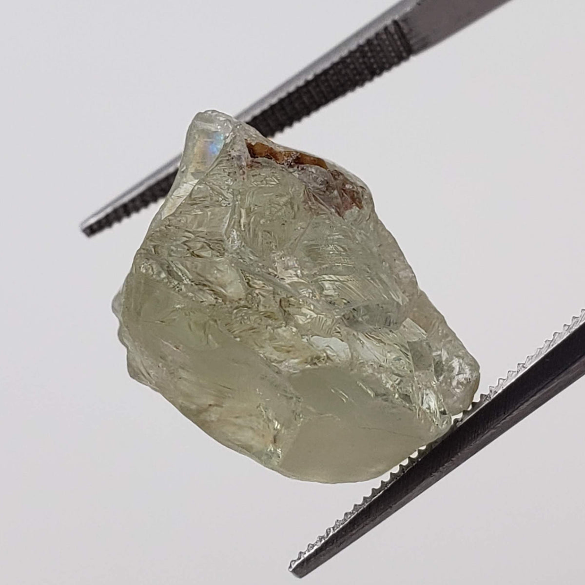  Facet Grade Rough Orthoclase | Pale Green | 21.99ct | Africa 5