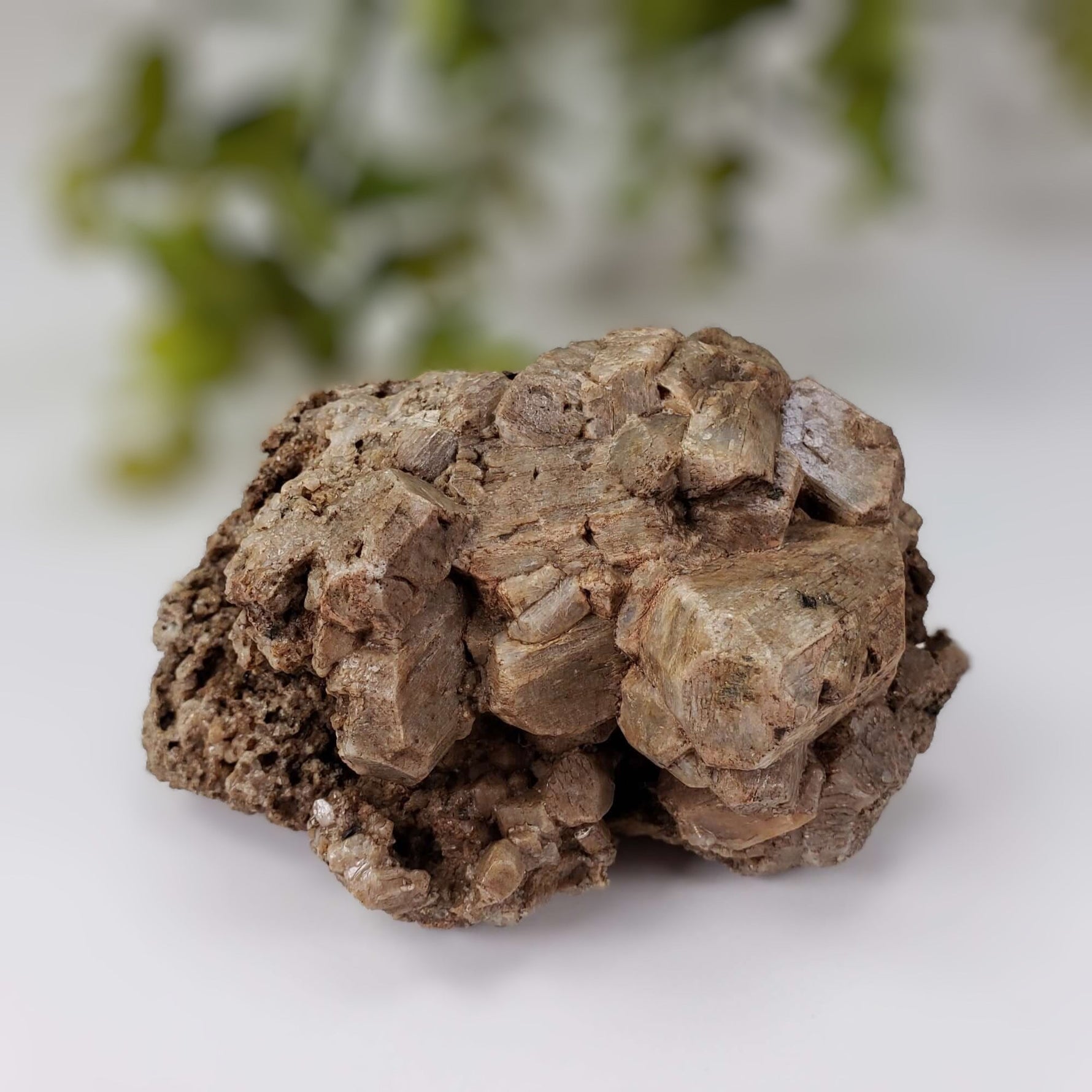  Feldspar Crystal Cluster | Sharp Intergrown Crystals | 450 grams | Tory Hill, Ontario, Canada 1