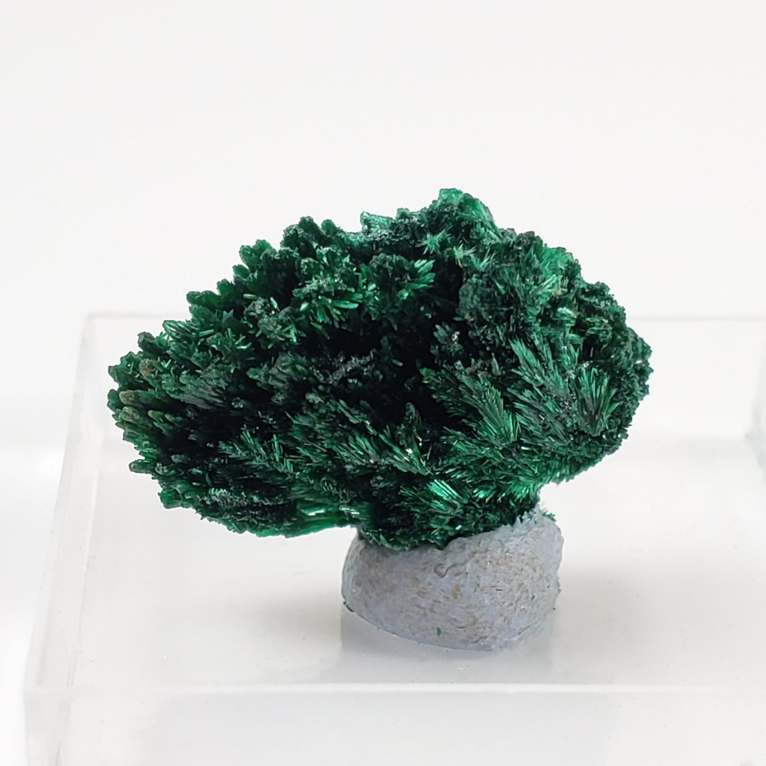  Fibrous Malachite | Perky Box Thumbnail Specimen | Shaba Copper Belt, Congo | SO24 