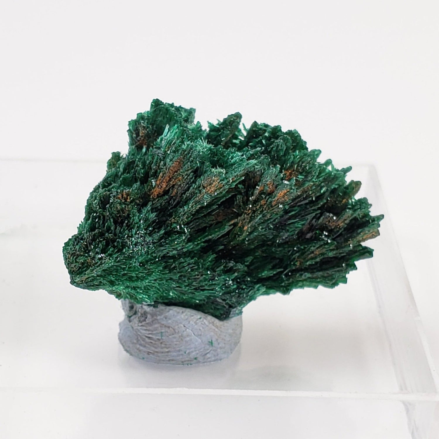  Fibrous Malachite | Perky Box Thumbnail Specimen | Shaba Copper Belt, Congo | SO24 1