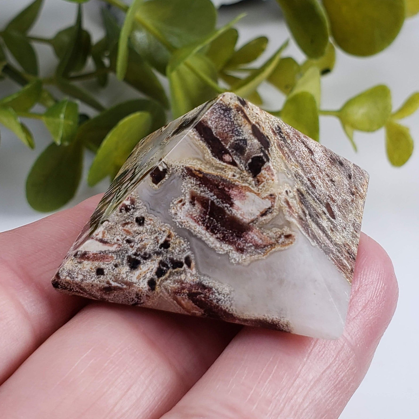  Five Point Jasper Pyramid Set | Gemstone Variety | Set of Four 2