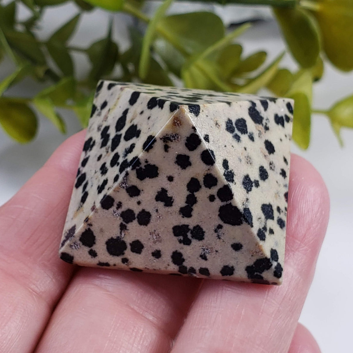  Five Point Jasper Pyramid Set | Gemstone Variety | Set of Four 5