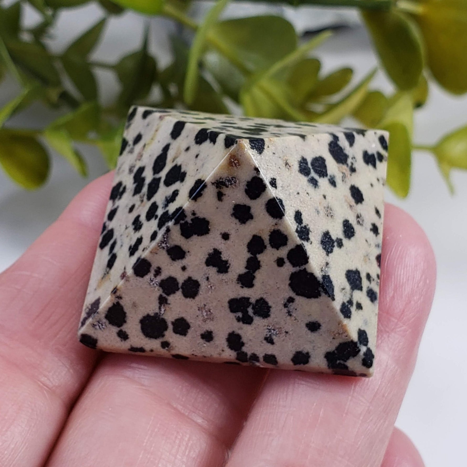  Five Point Jasper Pyramid Set | Gemstone Variety | Set of Four 5