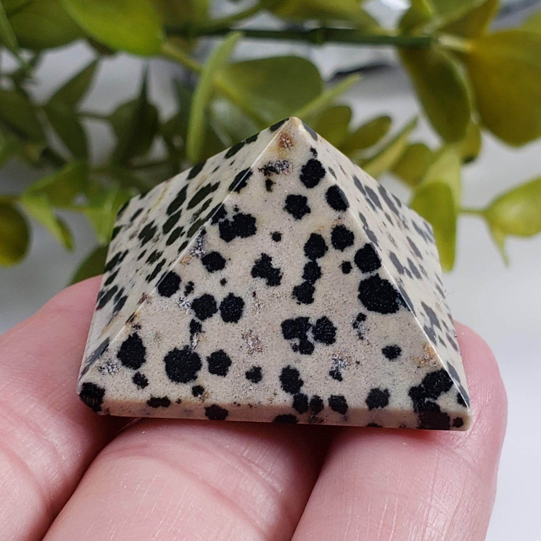  Five Point Jasper Pyramid Set | Gemstone Variety | Set of Four 6