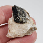  Fluor-Richterite on Calcite Matrix | Rare Mineral | 10.2 grams | Wilberforce Ontario Canada 