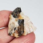  Fluor-Richterite on Calcite Matrix | Rare Mineral | 10.2 grams | Wilberforce Ontario Canada 1