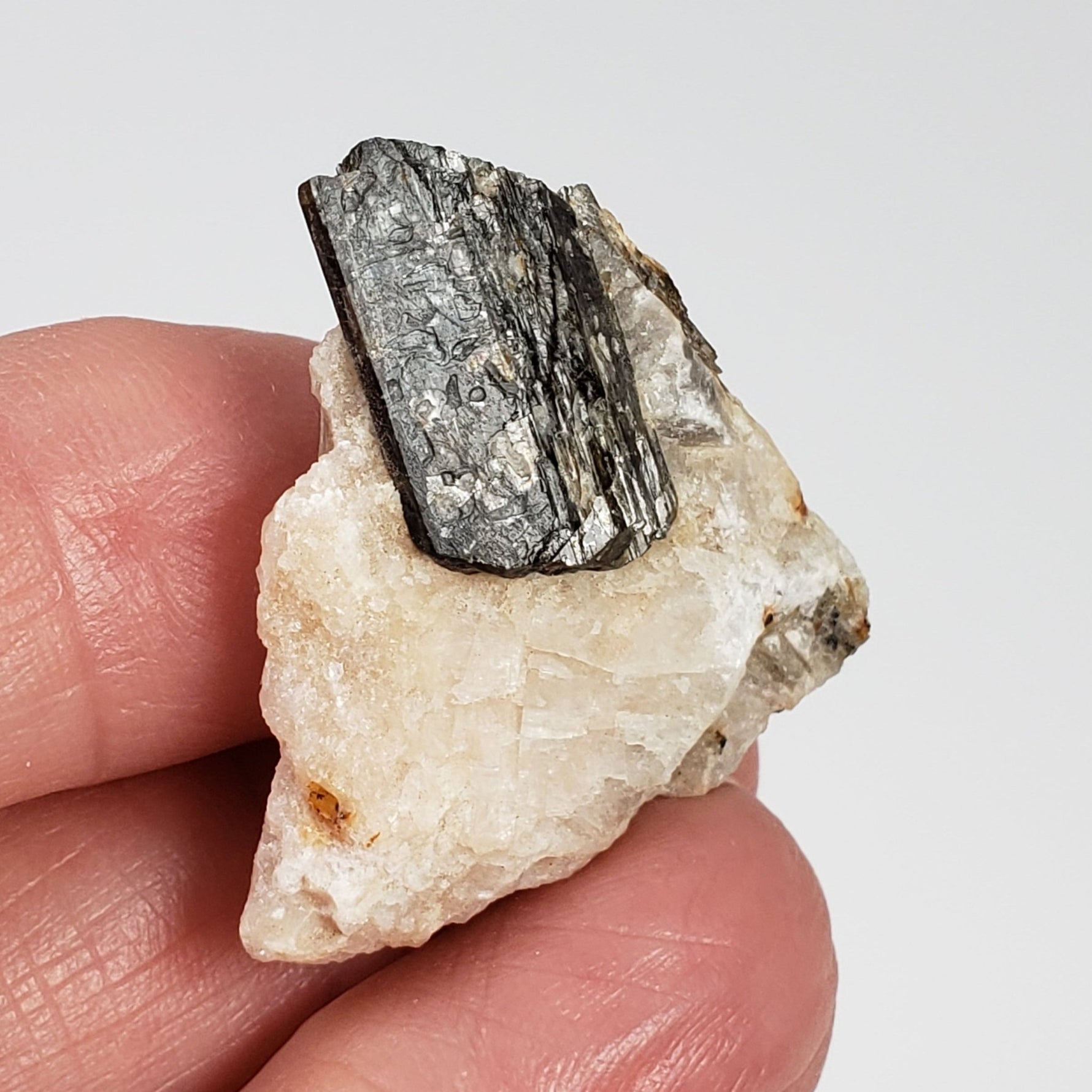  Fluor-Richterite on Calcite Matrix | Rare Mineral | 10.2 grams | Wilberforce Ontario Canada 2