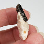  Fluor-Richterite on Calcite Matrix | Rare Mineral | 10.2 grams | Wilberforce Ontario Canada 3