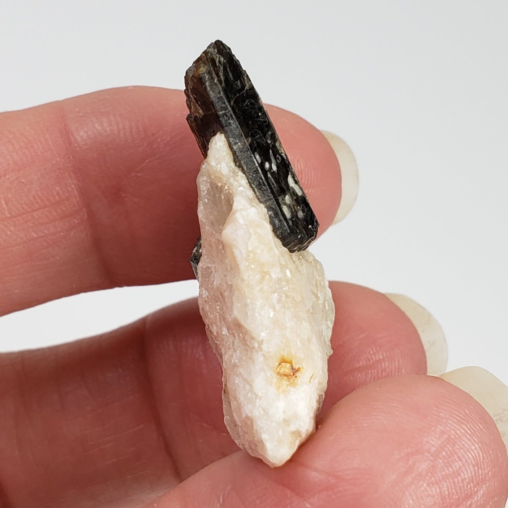  Fluor-Richterite on Calcite Matrix | Rare Mineral | 10.2 grams | Wilberforce Ontario Canada 3