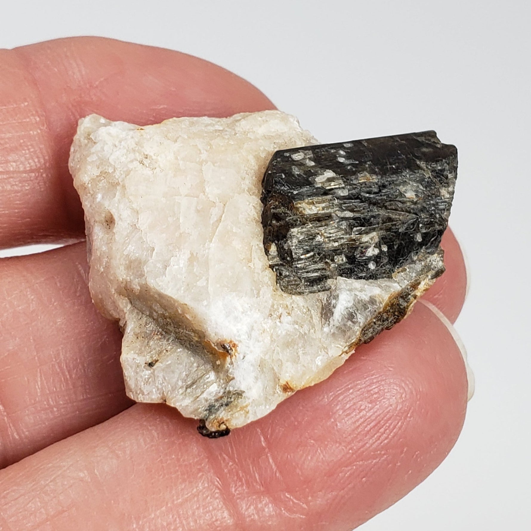  Fluor-Richterite on Calcite Matrix | Rare Mineral | 10.2 grams | Wilberforce Ontario Canada 4