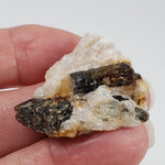  Fluor-Richterite on Calcite Matrix | Rare Mineral | 10.2 grams | Wilberforce Ontario Canada 5