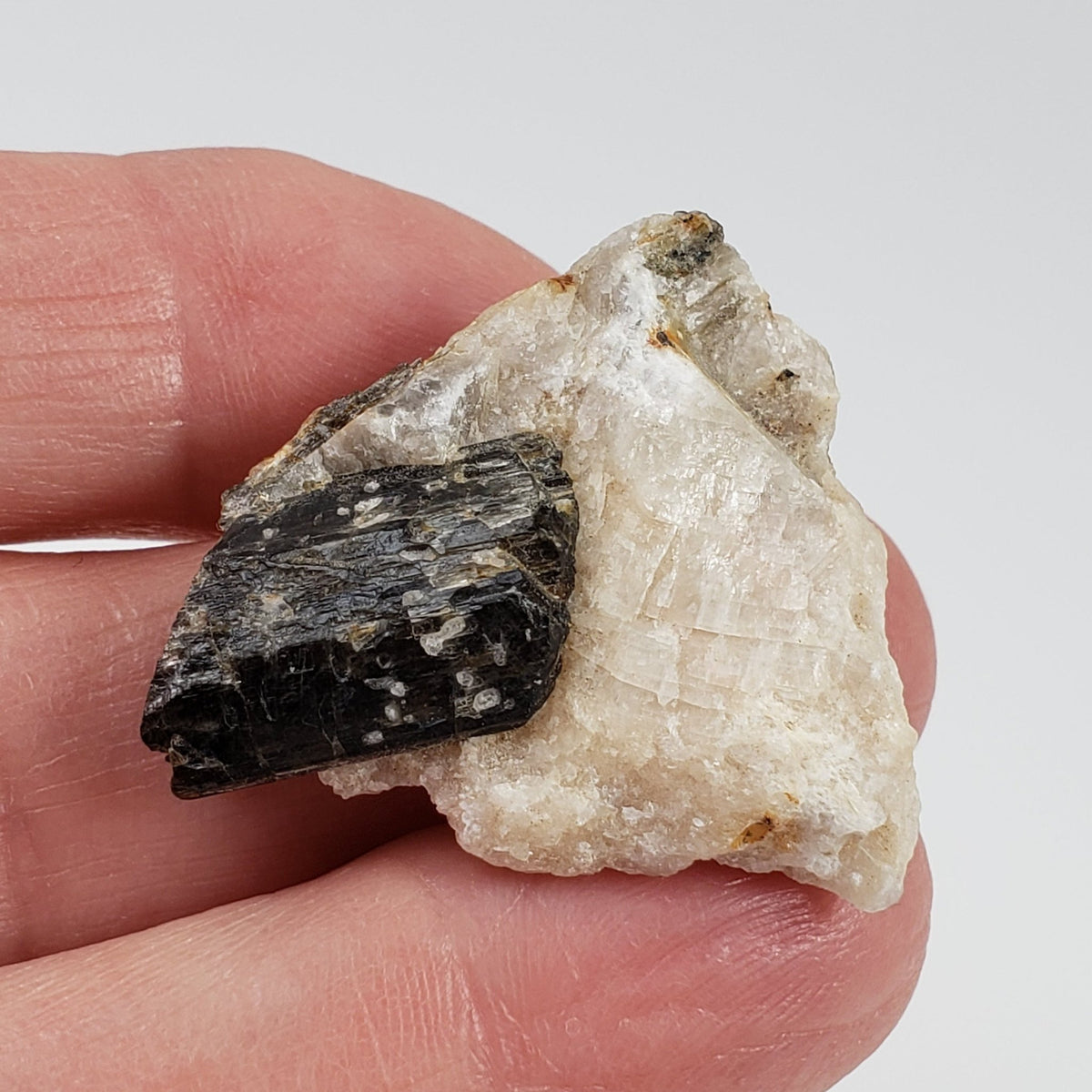  Fluor-Richterite on Calcite Matrix | Rare Mineral | 10.2 grams | Wilberforce Ontario Canada 6