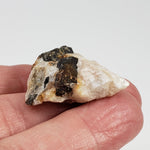  Fluor-Richterite on Calcite Matrix | Rare Mineral | 10.2 grams | Wilberforce Ontario Canada 7