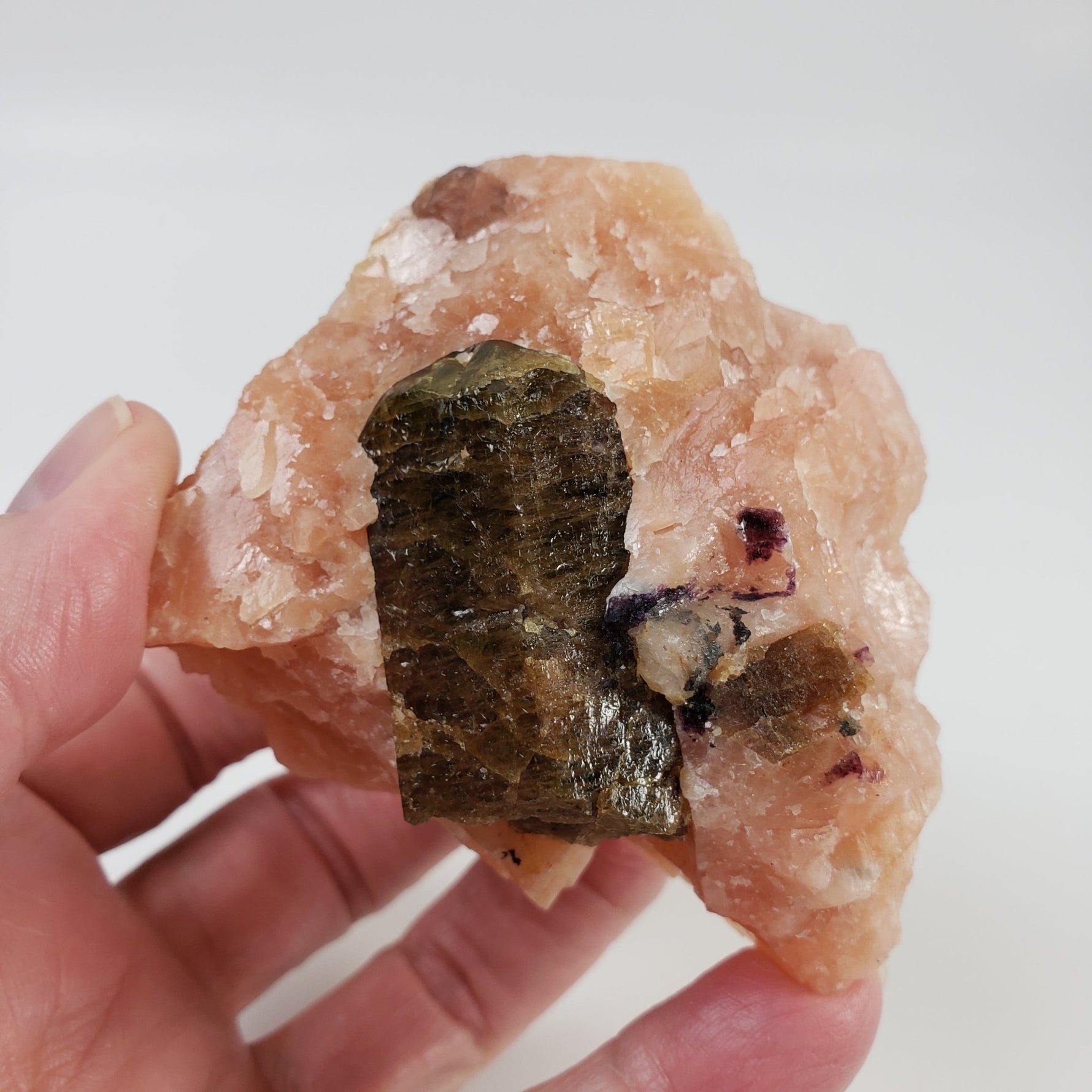  Fluorapatite Crystal on Calcite Matrix | 304 grams | Yates Mine, Quebec, Canada 4