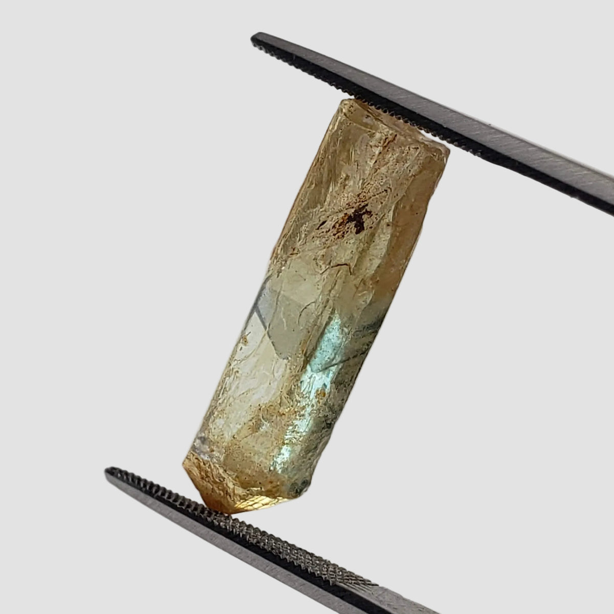 Fluorapatite Phantom Crystal | Perky Box Thumbnail Specimen | Cerro del Mercado | Durango, Mexico 2