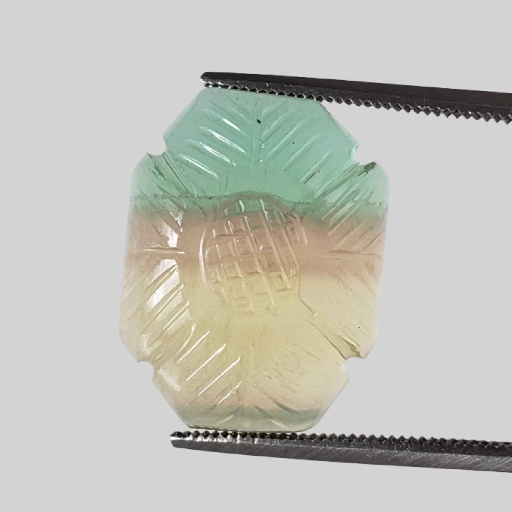  Fluorite | Carved Fluorite | Tri Color | 18x14mm 16ct 